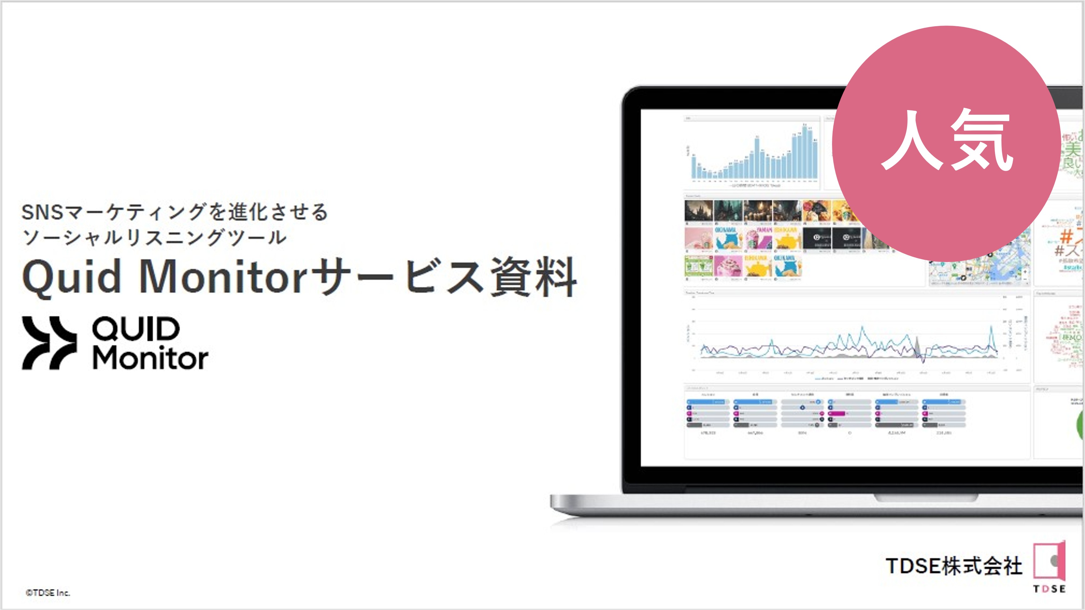 『Quid Monitor（旧NetBase）』紹介資料